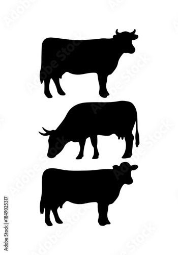 Cow animal vector, cow creative art, cow silhouettes, cow vector design isolated