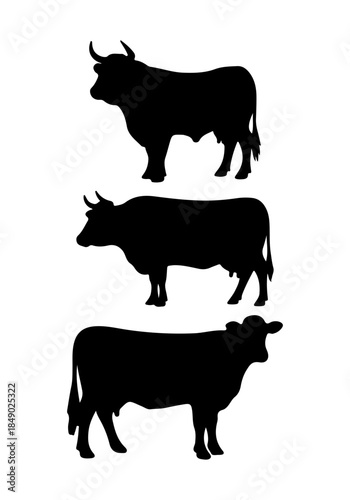 Cow animal vector, cow creative art, cow silhouettes, cow vector design isolated