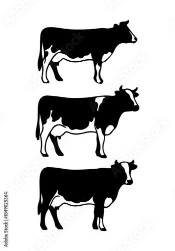 Cow animal vector, cow creative art, cow silhouettes, cow vector design isolated