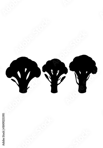 Broccoli vector, broccoli creative art, broccoli silhouettes, broccoli vector design isolated