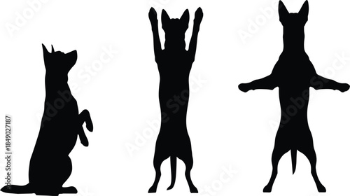 Dog silhouette set showing playful standing jumping poses isolated black and white vector illustration for pet training design concept collection