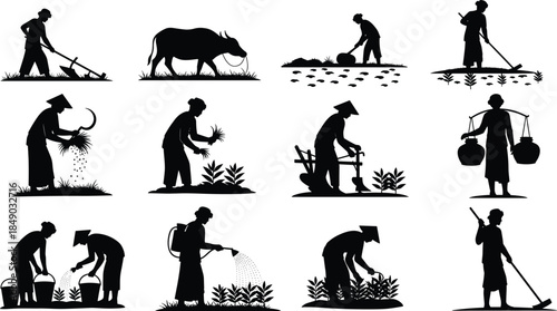 Silhouette set of Asian farmers working in rice field, planting, harvesting, watering, and plowing with buffalo, vector illustration collection for agriculture design
