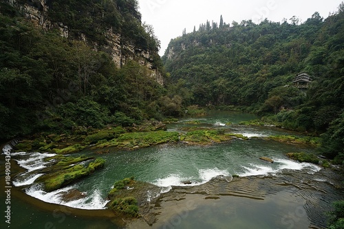 river in the forest