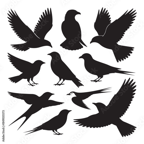 Birds silhouette (3).eps