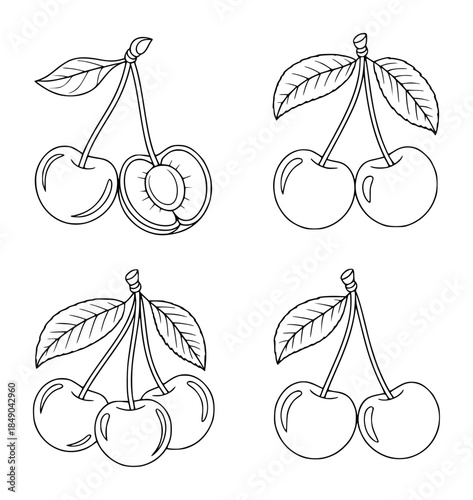 Pair of cherries with stems and leaves in cherry fruit