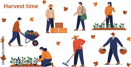 Harvest time illustration, farmers working together in autumn field, planting, harvesting vegetables, rural agriculture teamwork, seasonal farming lifestyle, flat design vector scene for stock