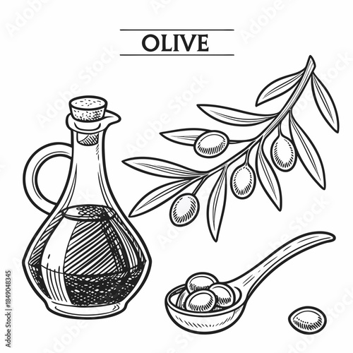 "Olive oil cruet vector illustration vintage style, Mediterranean culinary food ingredient design for healthy cooking kitchen and gourmet product art"

