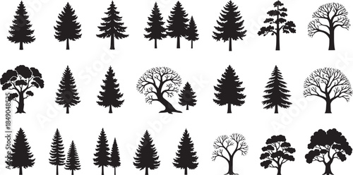 Pine tree and forest silhouette set Vector collection of spruce fir oak and bare winter trees