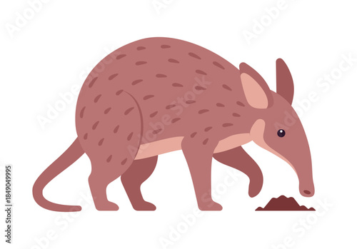Aardvark burrowing mammal cute animal searching for food, sniffing with nose. Saharan African tube teeth Earth pig, funny friendly creature, zoo, wild life. Vector flat style cartoon illustration