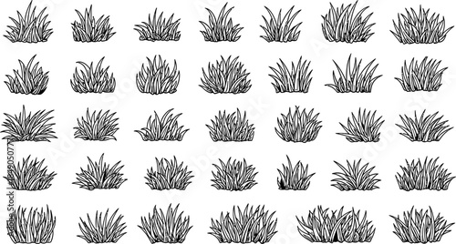 Collection of various grass and plant illustrations