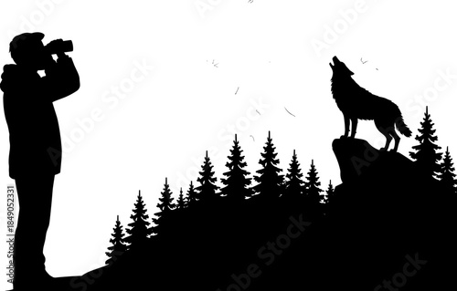 Black Silhouette of a Man with Binoculars Observing a Howling Wolf on a Cliff in a Pine Forest Wildlife Landscape