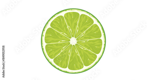 Lime cross section shows vivid green segments arranged in a circular pattern with white pith and rind radiating from the center against white background.