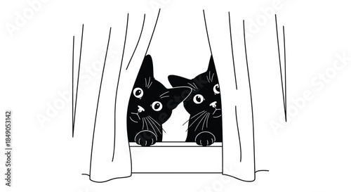 Two curious black cats peek through the curtains at a small window and exchange a wary and playful glance into the room.