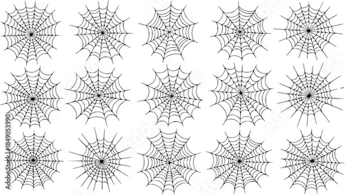 Vector Cobwebs Background