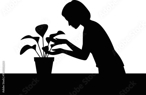 Black Silhouette Vector Illustration of a Woman Carefully Tending to a Potted Houseplant on a Table Isolated on White Background