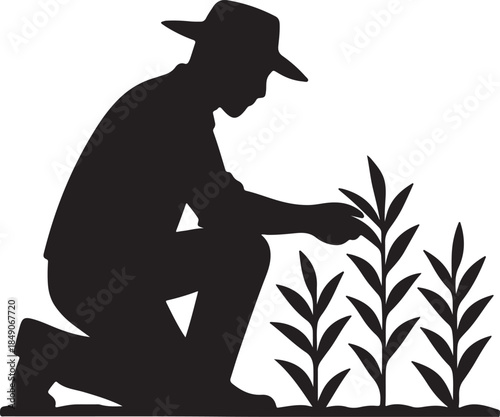 Farmer inspecting silhouette