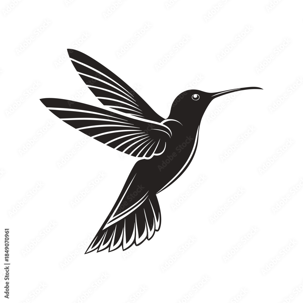 Fototapeta premium Elegant Hummingbird Silhouette Illustration in Flight