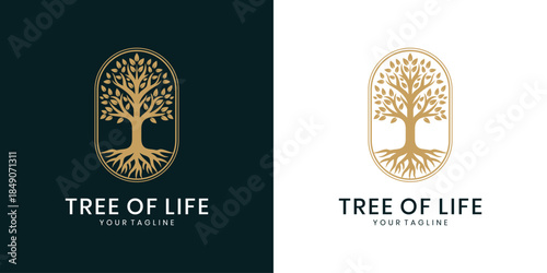 Luxury tree of life logo design