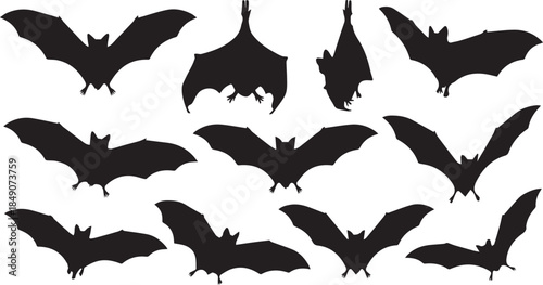 Collection of black bat silhouettes in various flying and hanging poses