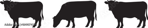 Three black cow silhouettes in different poses