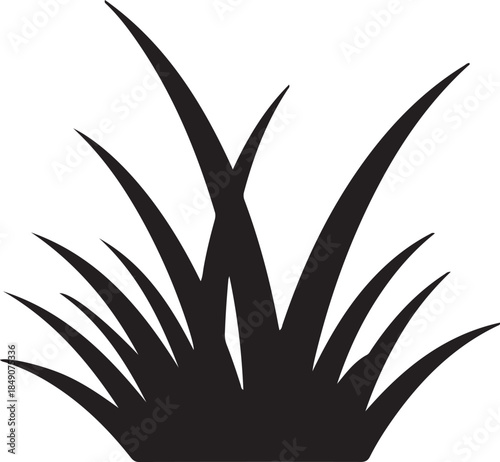 Black silhouette of grass blades on white background vector 3