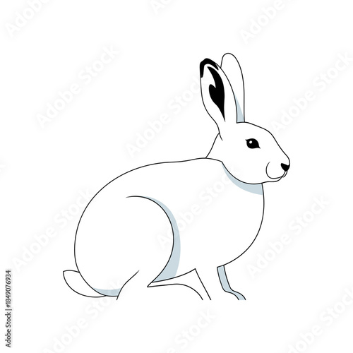 A simple line drawing of a white rabbit sitting down.