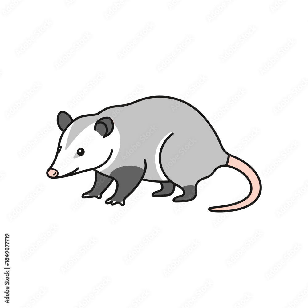 Fototapeta premium Cartoon Opossum Illustration with Gray Fur and Pink Nose.