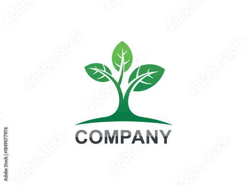 Green Tree Company Logo Design