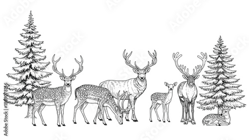 A serene forest scene featuring deer family with trees surrounding them in a peaceful natural setting