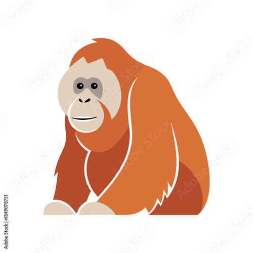 Cute Orangutan Sitting Down Looking Forward.