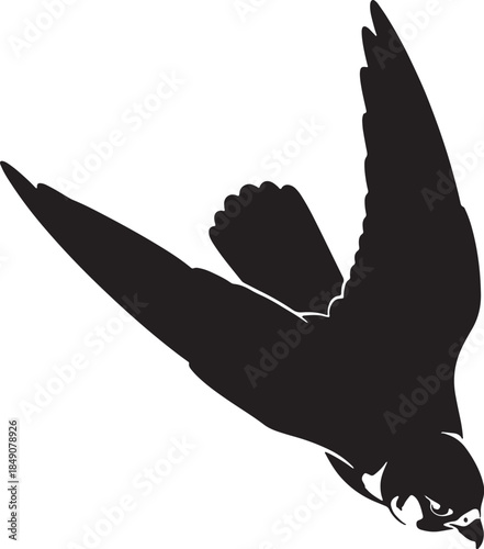 Powerful Diving Falcon Silhouette High Speed Nature Predator