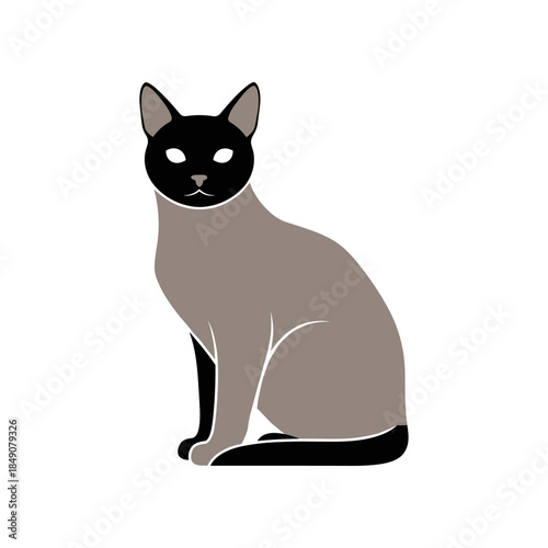 Elegant Siamese cat sitting upright with captivating gaze and focused attention.