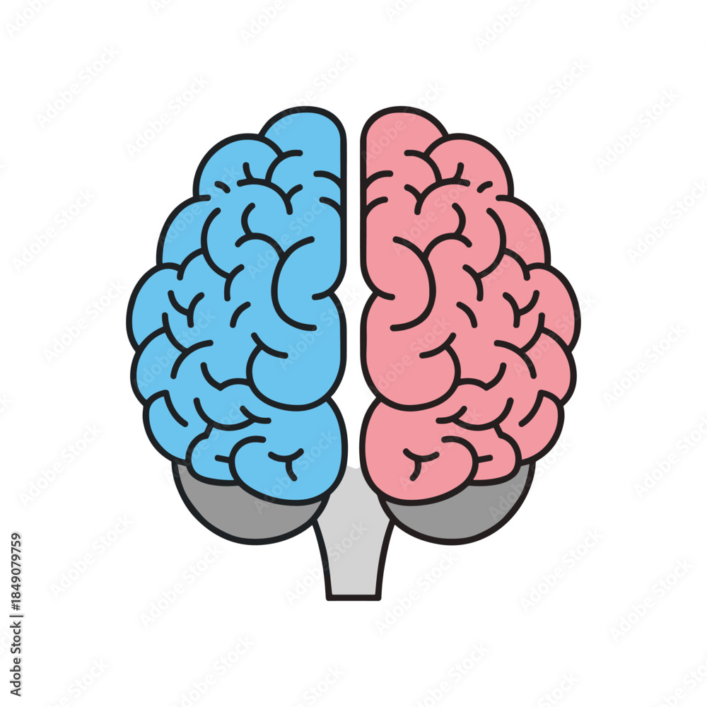 Fototapeta premium Human brain illustration depicting cognitive functions and mental processes.