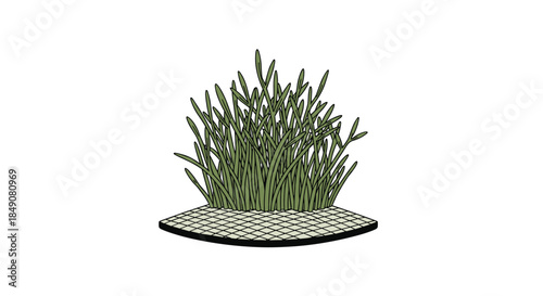 A simple and clean illustration of a lush tuft of green grass growing from a small, round checkered base, isolated on white.