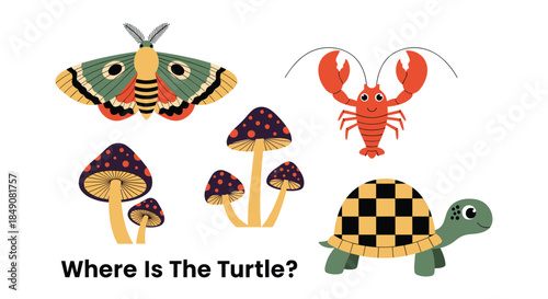 Educational matching game for children with a turtle, lobster, moth, and mushrooms on a clean white background for learning.