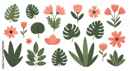 Big set of hand-drawn tropical leaves and pink flowers, featuring monstera and other exotic plants for botanical design projects.