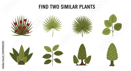 Educational puzzle for children to find two similar plants, a matching game with various trees and leaves to improve observation skills.