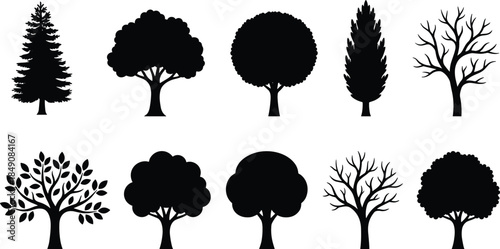 Black tree silhouettes collection, forest nature icons set, deciduous conifer bare trees, botanical vector shapes isolated white background, design, elements