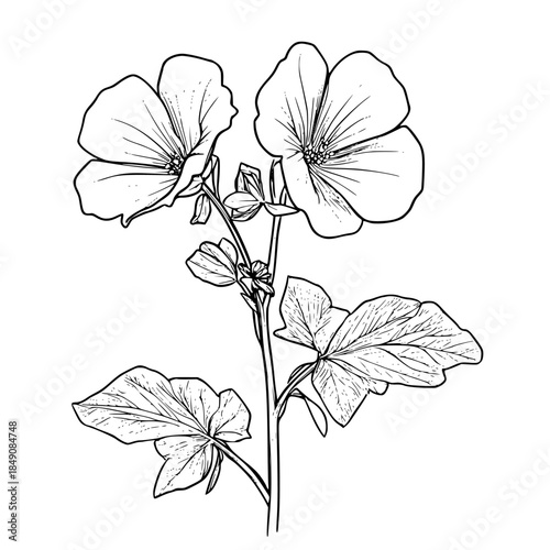 Ephemeral Blossom: Silhouette Wildflowers White | Clean, isolated vector art for creative projects.