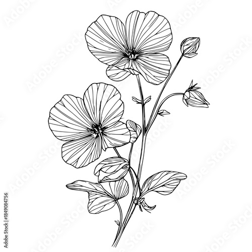 Silhouette Wildflower | Clean, isolated vector art for creative projects.