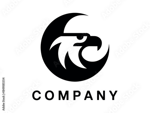 Modern Eagle Logo Design Template