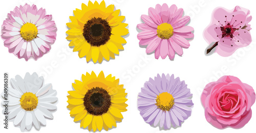 Colorful hand drawn floral vector set, stylized daisy sunflower and rose flowers, modern artistic botanical illustration for design, wall art, prints, posters, branding, decor