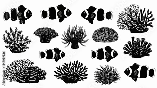 Clownfish and Coral Reef Silhouettes Collection.