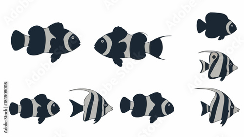 Collection of Black and White Tropical Fish Illustrations.