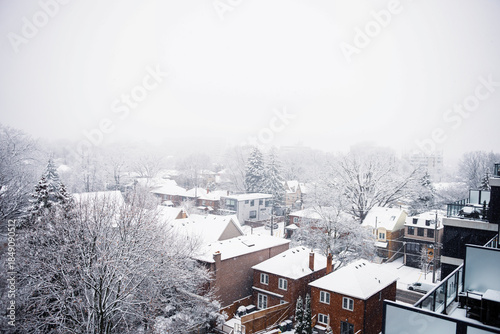 beautiful snowy winter in Toronto, Canada