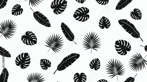 A collection of black tropical leaves and feathers on a white background