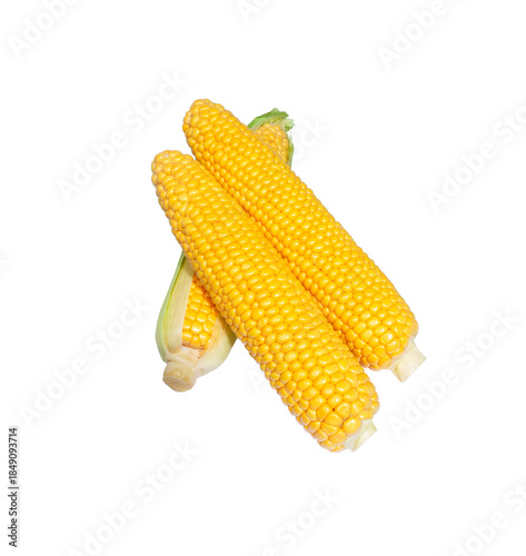 Corn cob isolated.  Sweet corn.