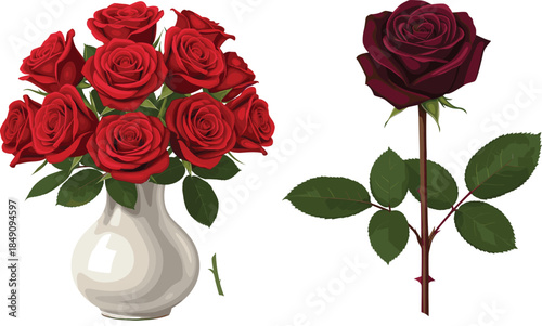 Romantic red rose bouquet in white ceramic vase and single dark burgundy rose stem isolated on white background.