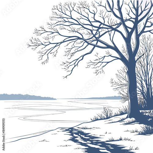Frozen plain with bare tree and soft shadows winter landscape