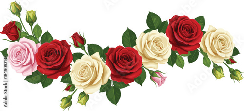 Elegant curved floral garland with red cream and pink roses and green leaves isolated on white background romantic wedding vector illustration design.